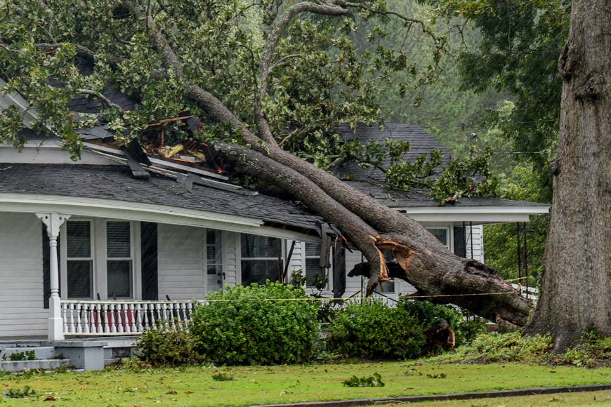 Photo of a house with a fallen tree on it