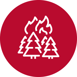 Understanding Wildfires Icon - Maroon circle with white trees on fire icon inside